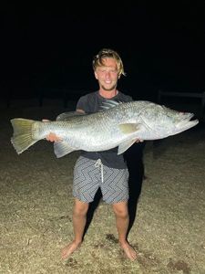 Barramundi