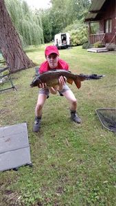 Common Carp