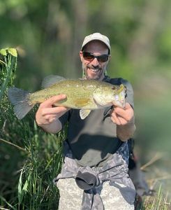 Largemouth Bass