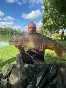 Mirror Carp
