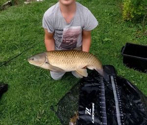 Grass Carp