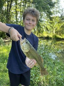 Largemouth Bass