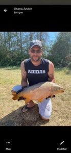 Mirror Carp