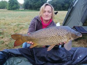 Common Carp