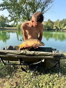 Mirror Carp