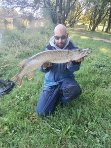 Northern Pike