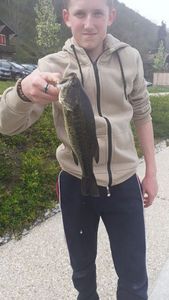 Smallmouth Bass