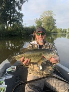Largemouth Bass