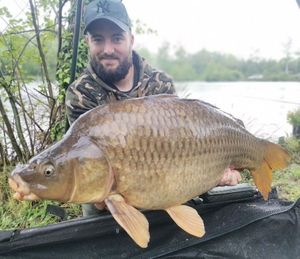 Common Carp