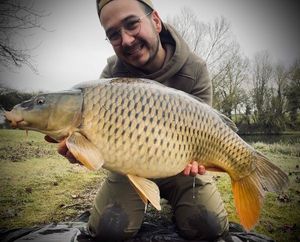 Common Carp