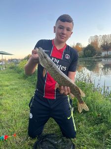 Northern Pike