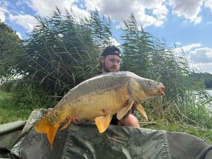 Mirror Carp