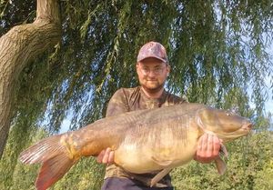 Mirror Carp