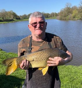 Common Carp