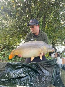 Mirror Carp