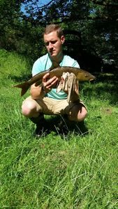 Barbel