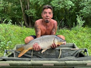 Common Carp