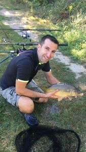 Mirror Carp