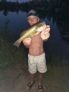 Largemouth Bass