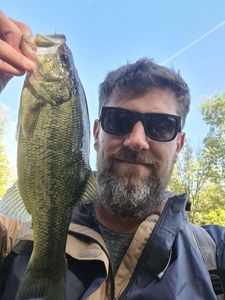 Largemouth Bass