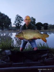 Mirror Carp