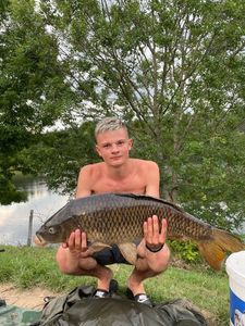 Common Carp