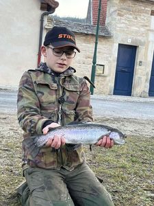 Rainbow Trout