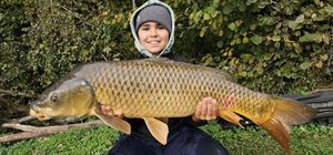 Common Carp