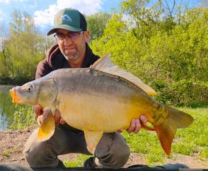 Mirror Carp