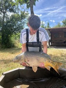 Mirror Carp