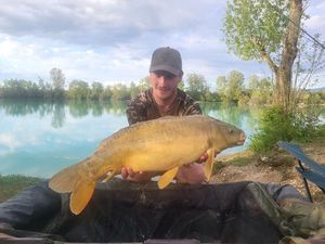 Mirror Carp