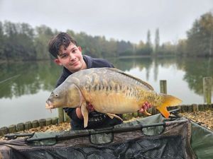 Mirror Carp