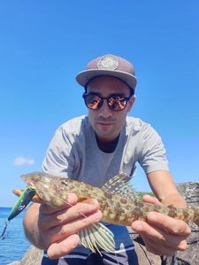 Atlantic Lizardfish