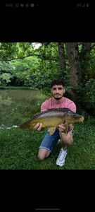 Mirror Carp