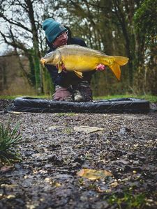 Mirror Carp