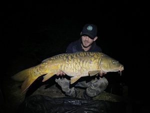 Mirror Carp