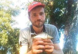 Common Carp