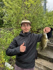 Smallmouth Bass