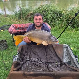 Mirror Carp