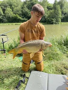 Common Carp