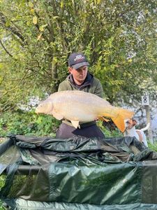 Mirror Carp