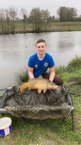 Common Carp