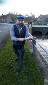 Grayling