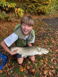 Grass Carp