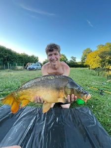 Mirror Carp