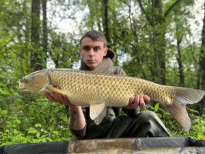 Grass Carp