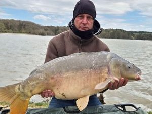 Mirror Carp