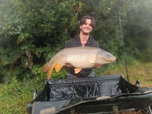 Common Carp