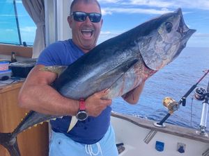Southern Bluefin Tuna