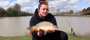 Mirror Carp